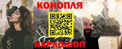 сатива Бузулук
