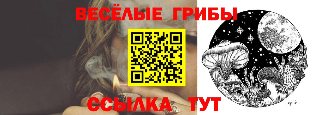 Псилоцибиновые грибы Psilocybe  где найти наркотики  Петропавловск-Камчатский  Вход с VPN 